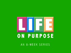 Life On Purpose Icon