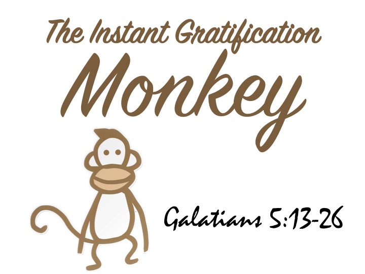 instant gratification monkey plush toy